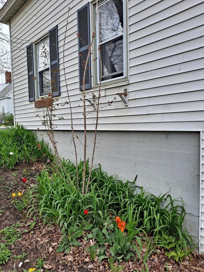 Lado sur - 345 Main St