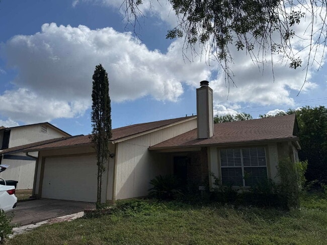 Beautiful Kitchen and Open Floor Plan - Beautiful Kitchen and Open Floor Plan Apartment