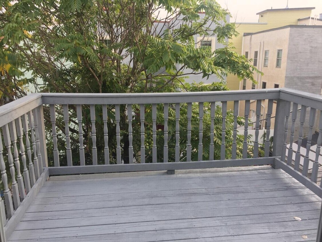 Private Roofdeck with skyline view - 1132 Mount Vernon St