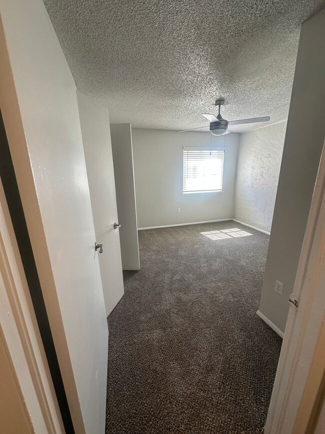 Interior Photo - Regency Point Luxury Apartments