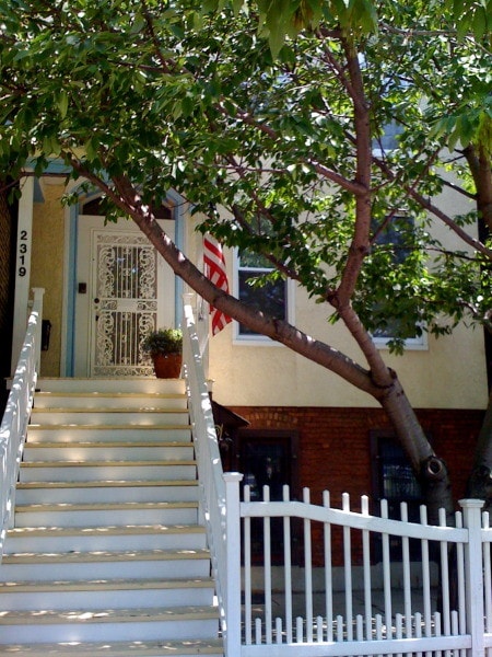 Spot Center of Lincoln Park! - 2319 N Halsted St