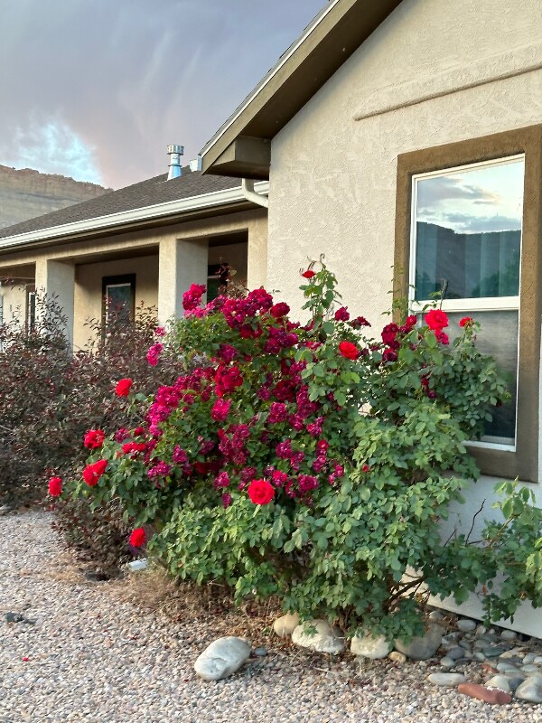 Foto del edificio - 883 Vineyard Ave