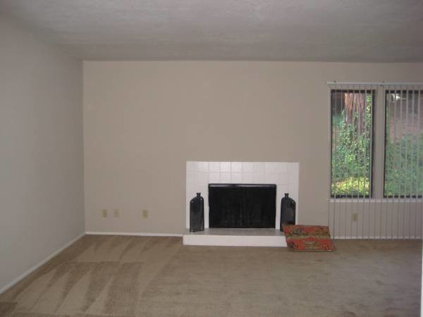 Living Room - wood burning fireplace - 1481 Pico Ct