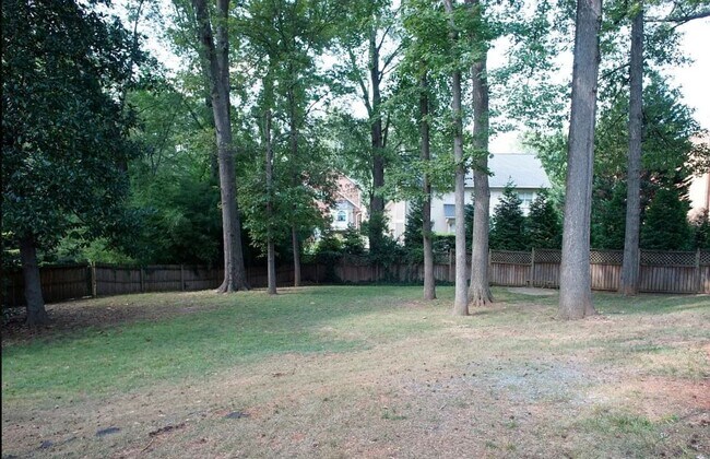 Backyard - 6836 Park South Dr