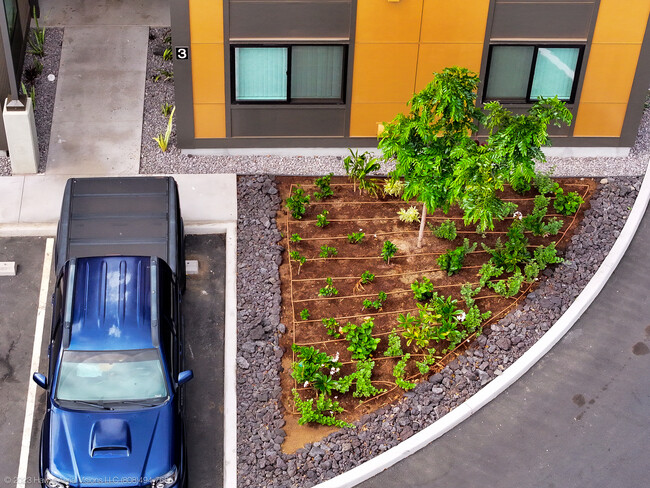 Building Photo - Lofts at Waikoloa