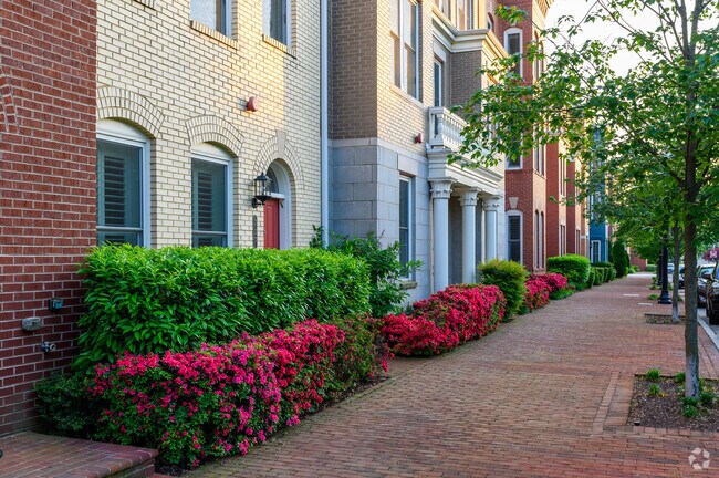 Take in the picturesque landscaping as you walk through the Potomac Yard.