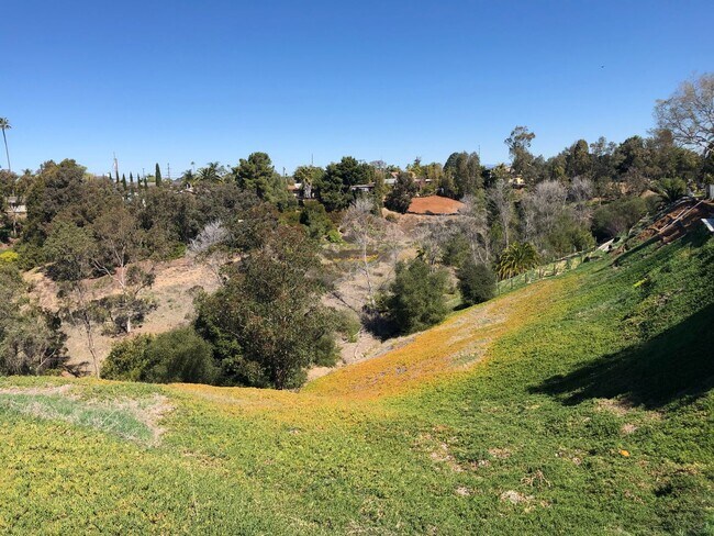 Building Photo - You must see this most amazing Clairemont “penthouse” ever!