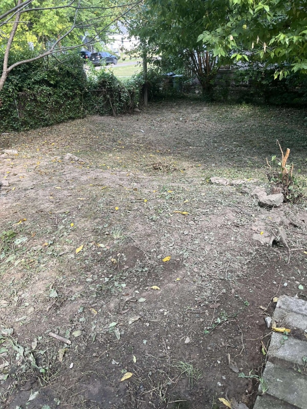 Foto del edificio - 6726 Betts Ave