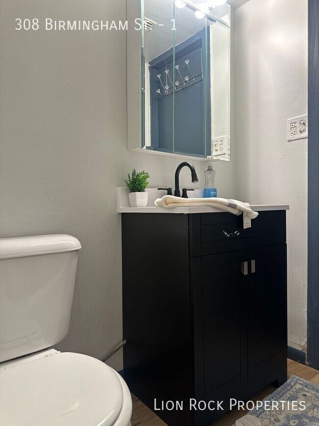 Foto del edificio - 308 Birmingham St