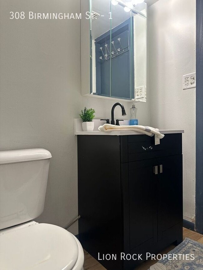 Building Photo - 308 Birmingham St