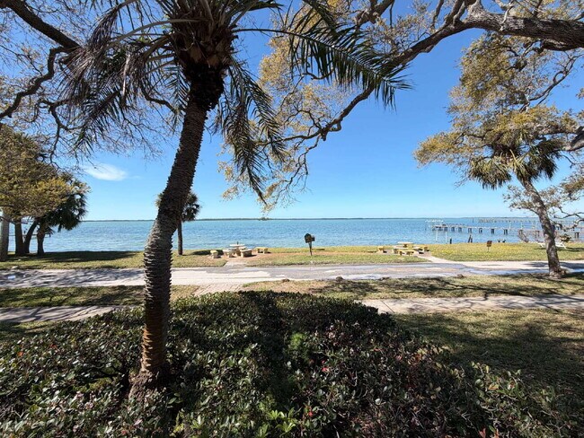 Foto del edificio - "Charming 1-Bedroom Condo Retreat in Dunedin's Heart - Cozy, Convenient & Inviting!"