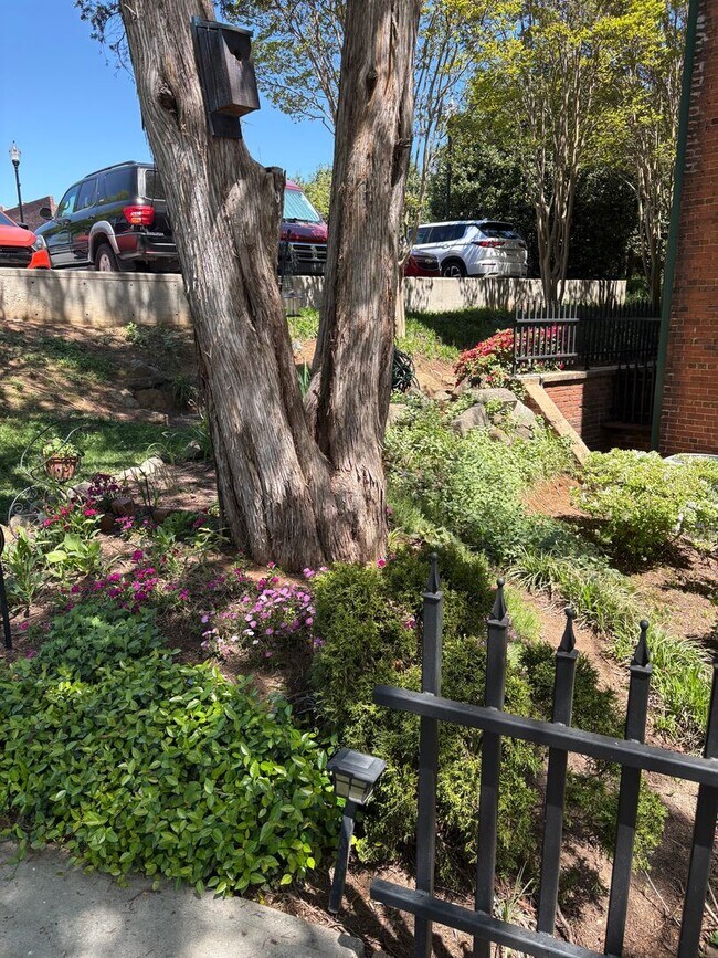 Foto del edificio - Lovely 2 Bedroom 2 full Bath Historical  Condo in Downtown Easley! Lawn Care and Trash Pickup inc...