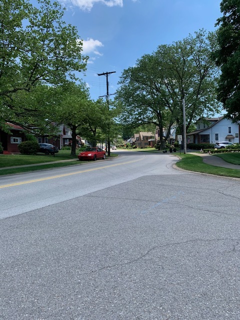 tree-lined streets of neighborhood - 887 Riverview Ave