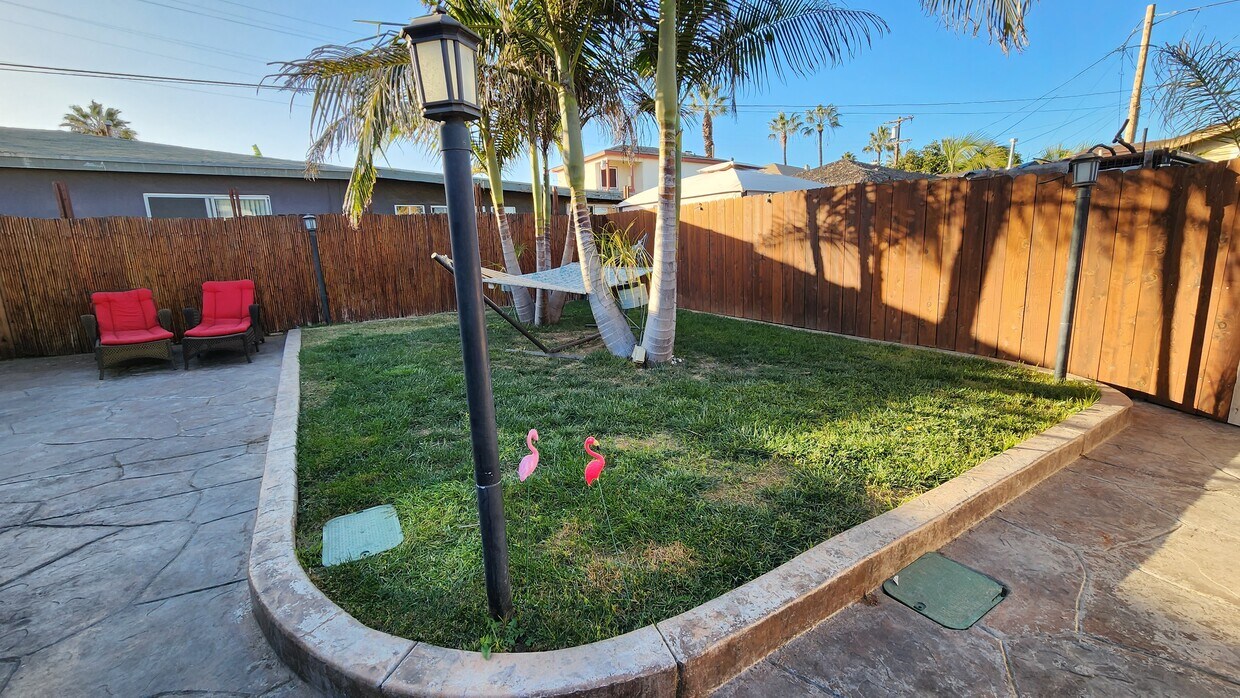 Palm Trees - 1609 Dahlia Ave