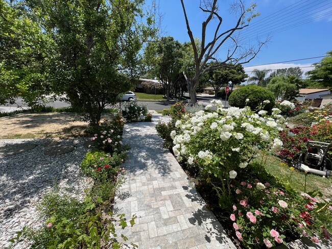 Front Walkway - 5352 Bayer Pl