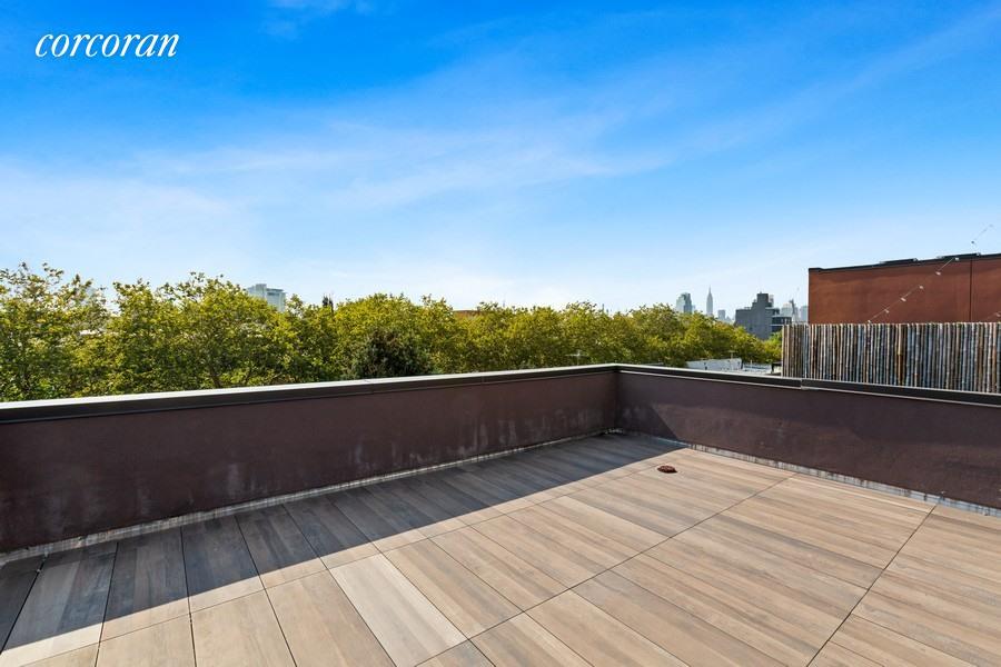 Primary Photo - 41 Newel St