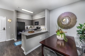 Building Photo - The Gallery at NoHo Commons
