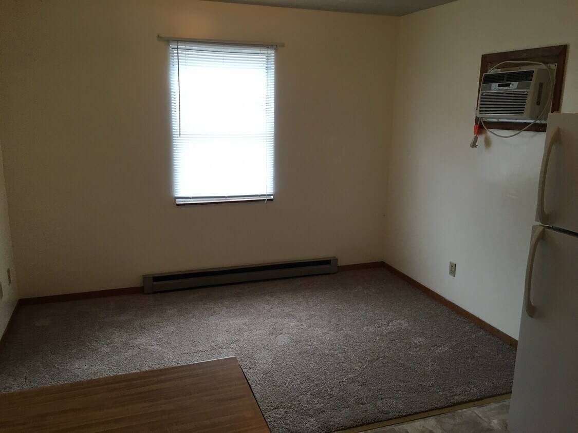Living Room - 1016 3rd Ave
