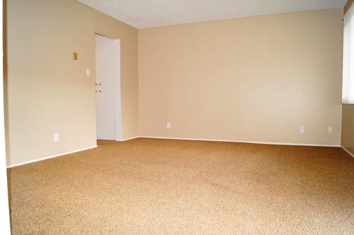 Building Photo - 549 Buena Vista Ave