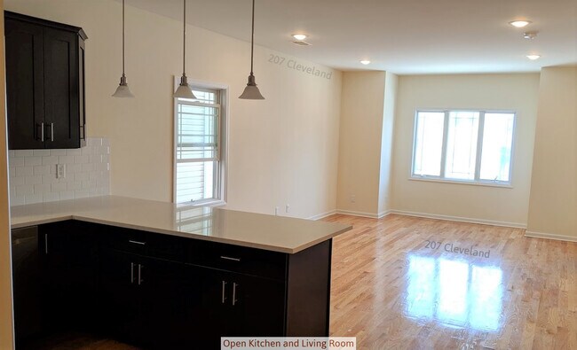 Open Kitchen - 207 Cleveland Ave