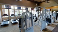 This single-level fitness center is thoughtfully designed to support a comprehensive workout experience. The space is outfitted with professional-grade Hoist strength training machines, including cable systems and resistance stations, positioned throughout the room for easy access and efficient use of the floor space. A selection of cardio equipment, including treadmills and stationary bikes, lines the perimeter, offering users a variety of training options.

Large, multi-pane windows wrap along one wall, flooding the interior with abundant natural light while providing views of the surrounding outdoor landscape. Ceiling fans are mounted overhead, contributing to air circulation and comfort during workouts. Mounted flat-screen televisions are strategically placed throughout the space, allowing members to stay entertained during cardio sessions.

The flooring consists of neutral-toned carpet, and the warm earth-toned walls with decorative trim detailing give the space an inviting, upscale ambiance that elevates the overall fitness experience. The layout is open and well-organized, allowing ample room to move between equipment comfortably.