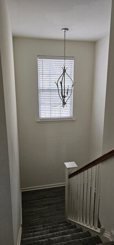 Primary Photo - 126 Nicoles Ct