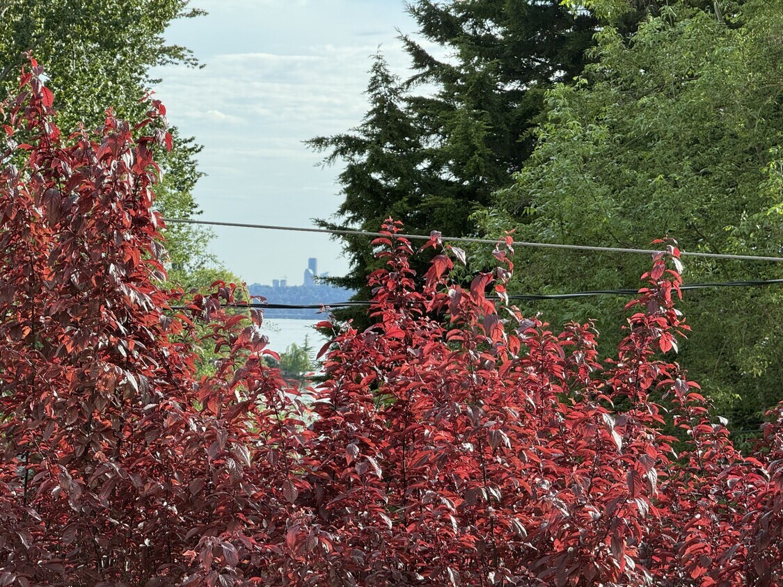 View of Lake Washington - 11430 99th Pl NE