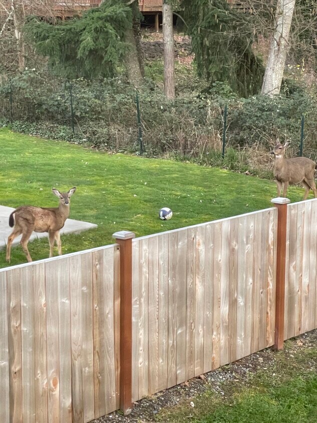 Foto principal - 1922 87th Avenue Ct W