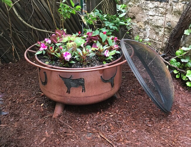 Building Photo - CHELSEA BACKYARD OASIS