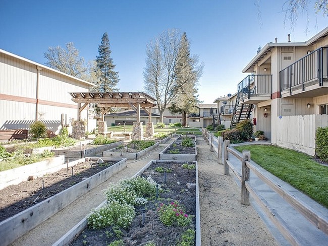 Community Garden - Spring Mountain