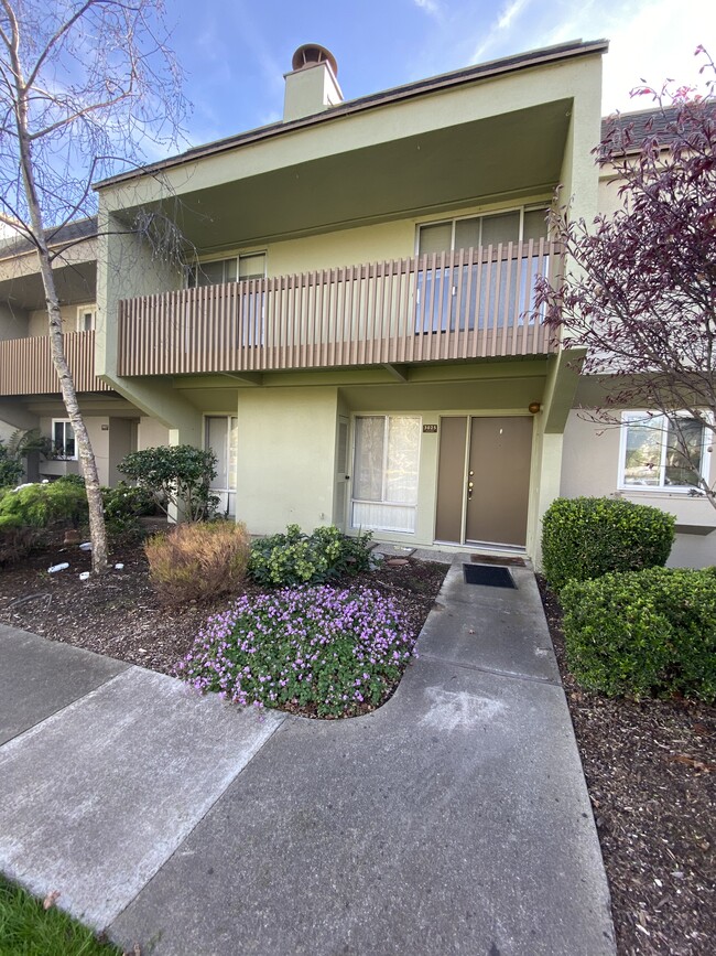 Building Photo - 3025 Alta Vista
