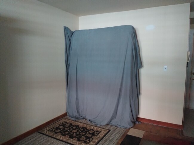 cama oculta, con el nuevo colchón de espuma - 4725 15th Ave NE