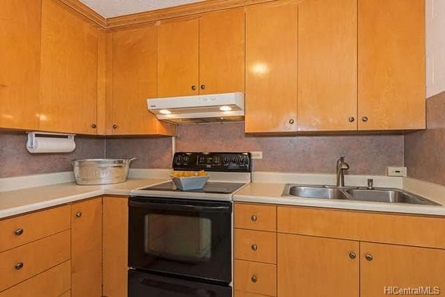 Photo - Wilder Hale  in Makiki House