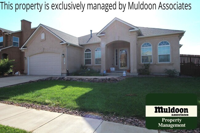 Building Photo - Coming soon! Gorgeous ranch style home in Soaring Eagles