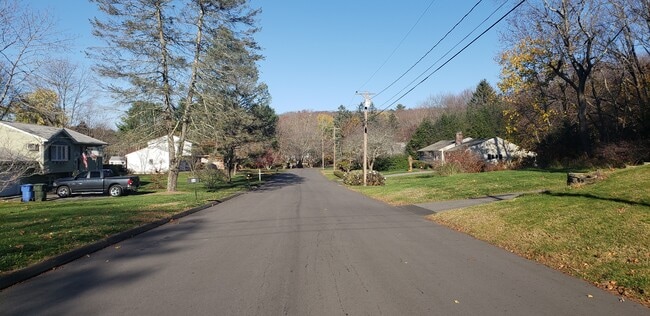 The street the house is on - 51 Carter Dr