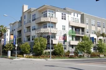 7100 Playa Vista Dr Los Angeles Ca 90094 Condo For Rent In Los