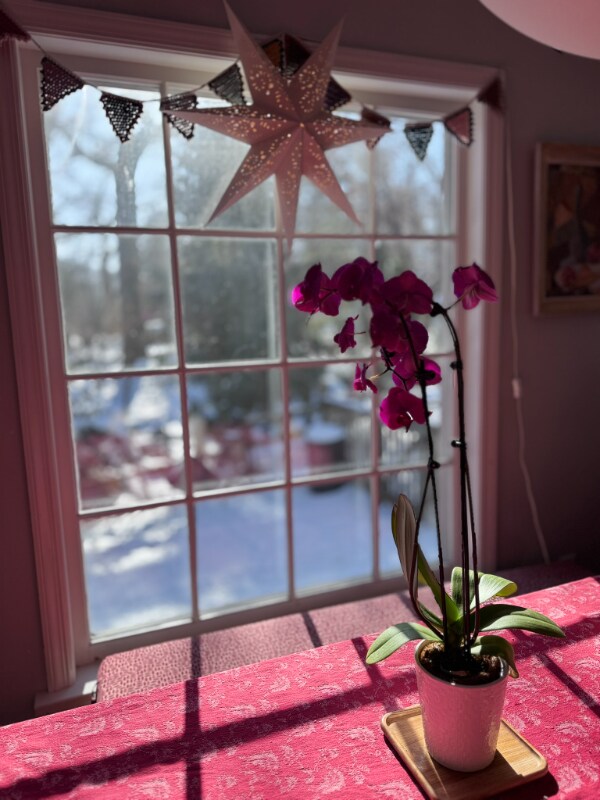 Foto del edificio - 1223 Dartmouth Rd