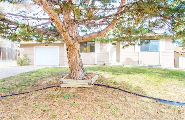 Primary Photo - 4 Bedroom / 2 Bath / 1 Car garage