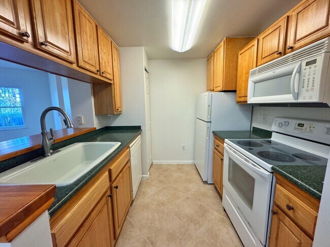 Building Photo - 2005 Mariposa Vista Ln