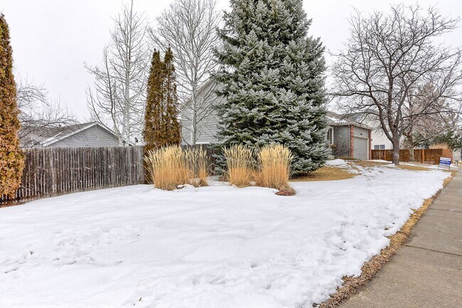 Building Photo - 4 Bedroom 2 Bath in Huntington Hills