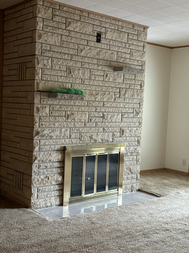 Stone clad fireplace with tile floor inset - 815 E 6th St