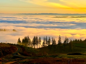 Building Photo - 205 Island View Dr