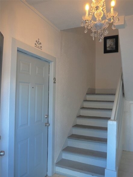 Photo - 3409 La Branch St Apartment