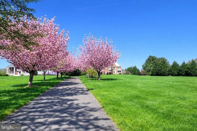 Foto del edificio - 13031-13012 12 Hills Rd