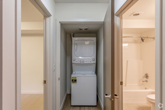 Interior Photo - The Shelby Apartments