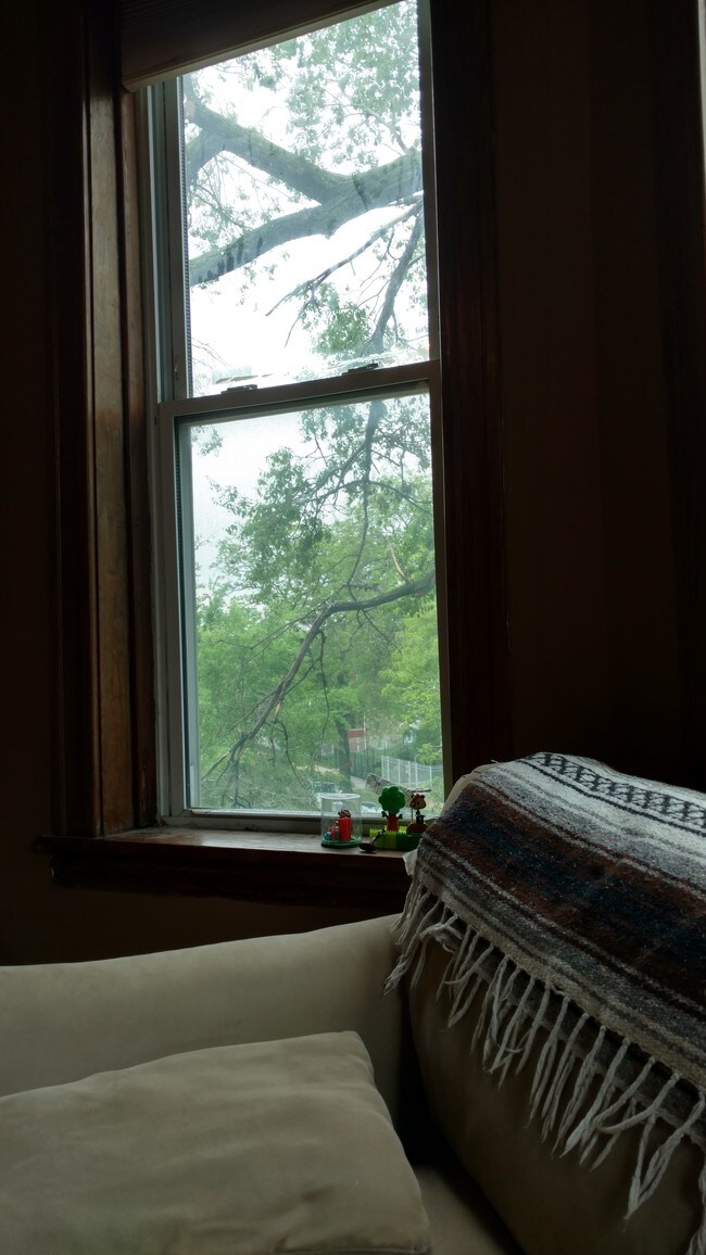 Front Windows - 3101 N Monticello Ave