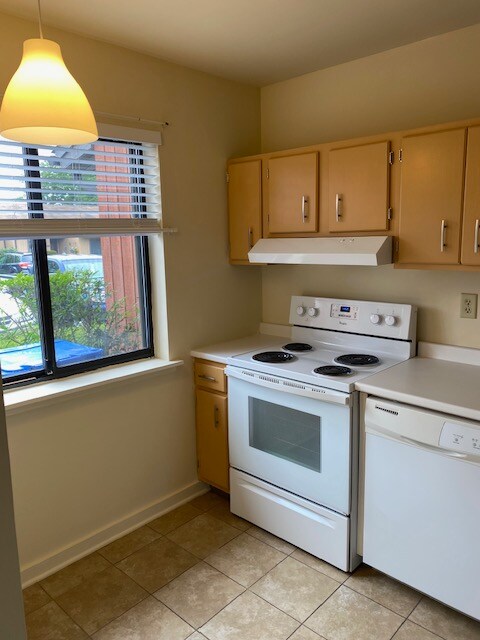 Foto del edificio - 552 Asbury Ridge