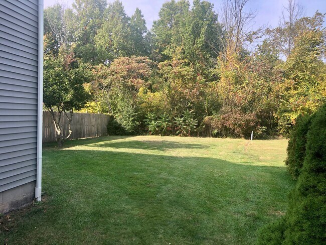 Spacious Back Yard - 919 Pletcher Rd