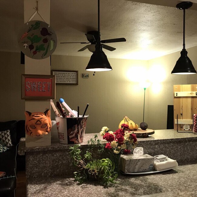 Photo - 4812 Convention St House