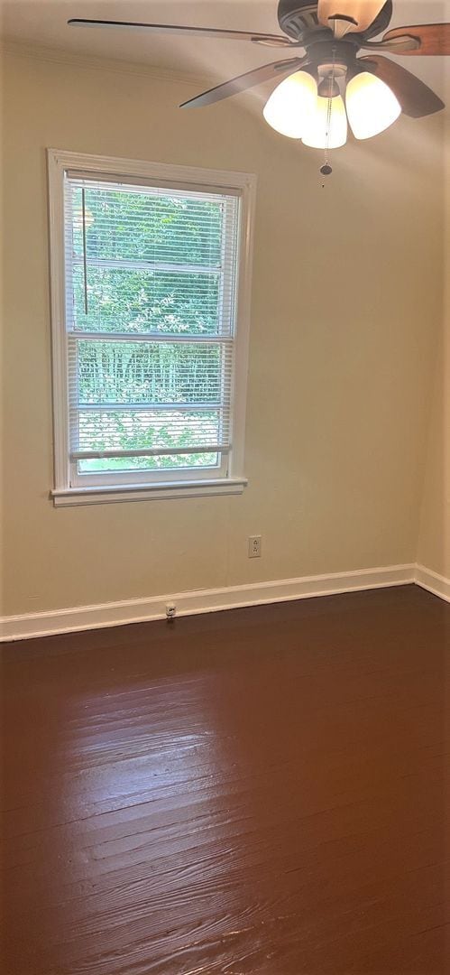 Foto del edificio - Renovated 3 Bedroom Home in Downtown Rock ...